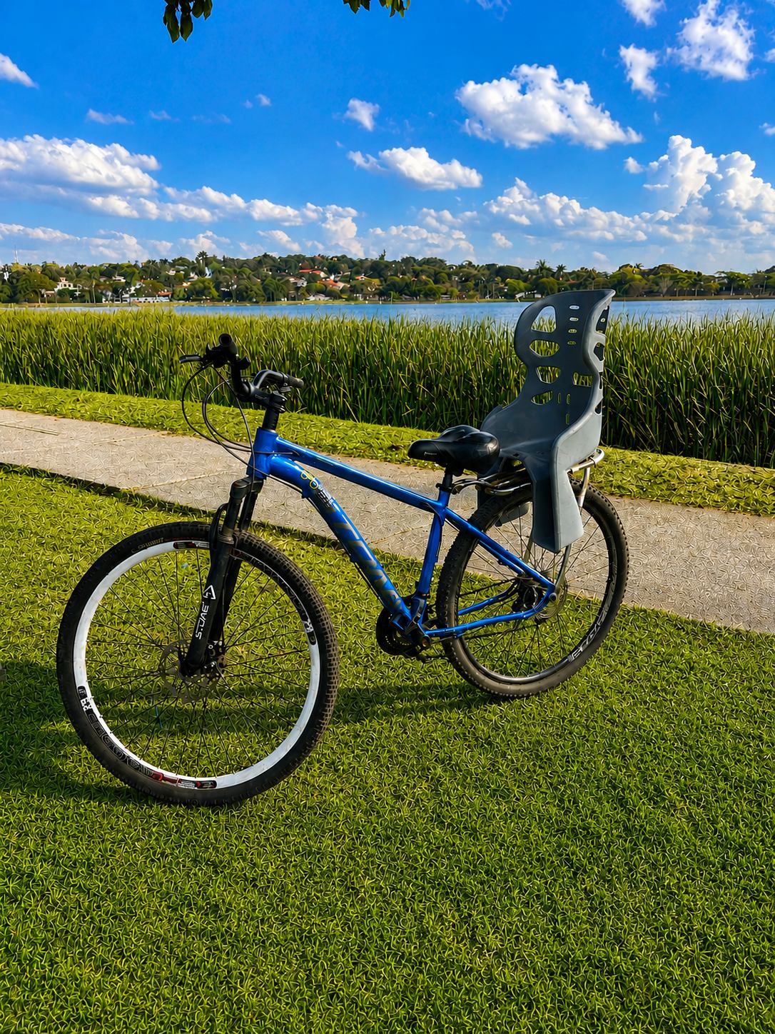 Bicicleta com cadeirinha para passeio na Pampulha