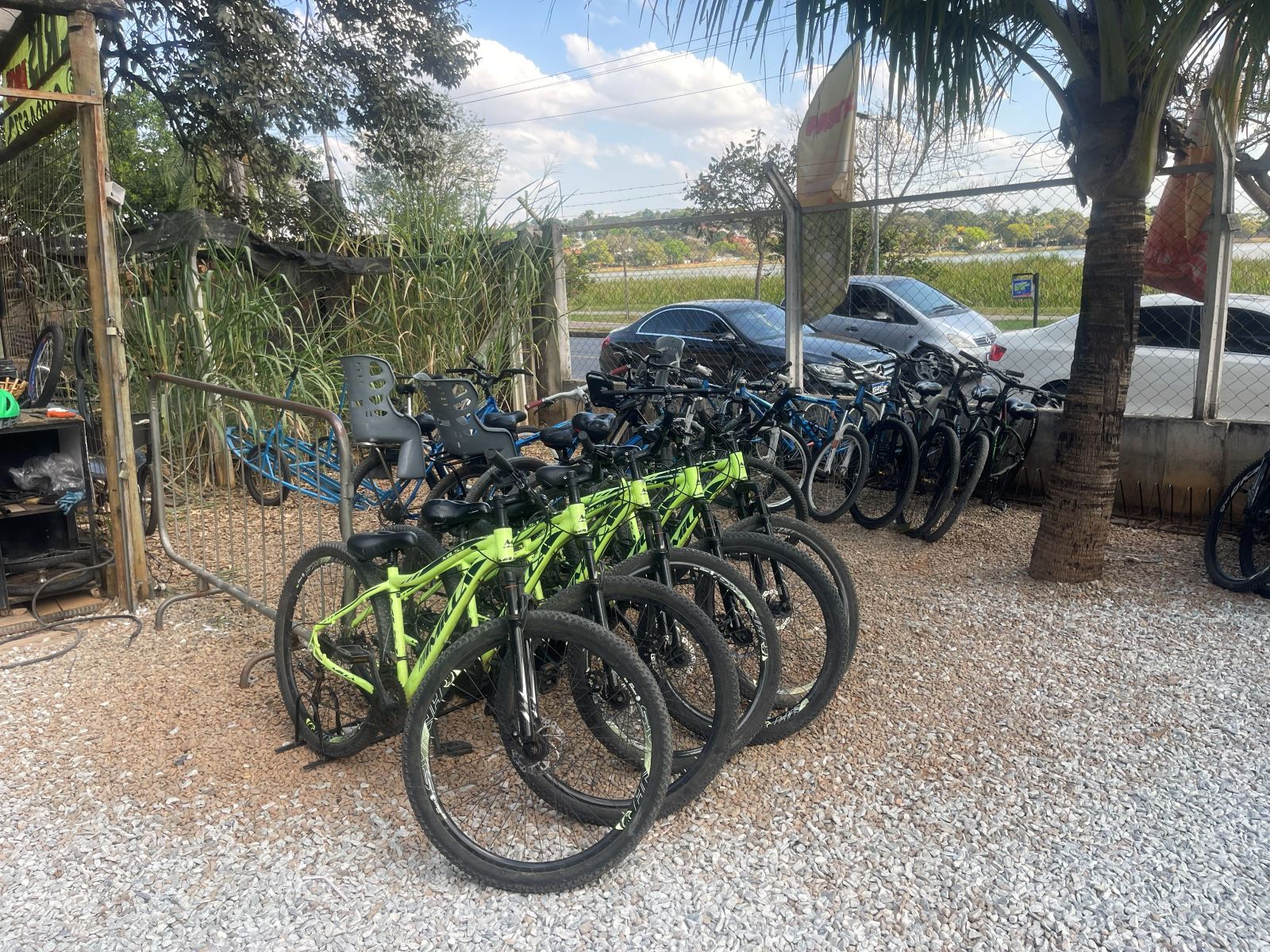 Bicicletas para aluguel na Cris Bike Pampulha com vista para a Lagoa